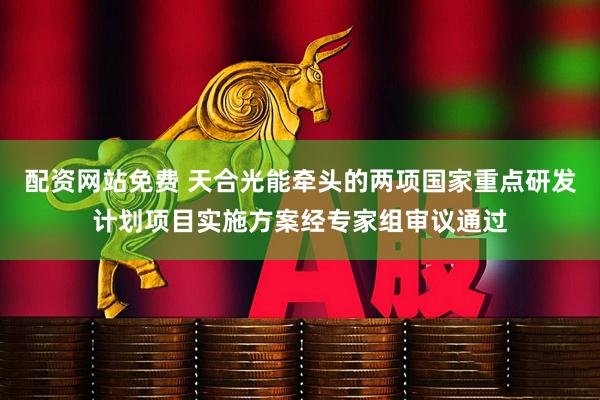 配资网站免费 天合光能牵头的两项国家重点研发计划项目实施方案经专家组审议通过