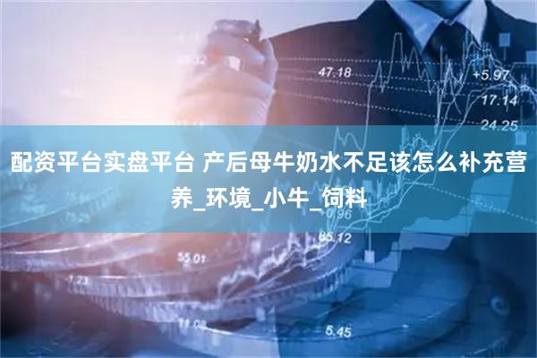 配资平台实盘平台 产后母牛奶水不足该怎么补充营养_环境_小牛_饲料