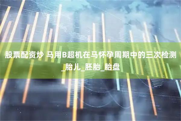 股票配资炒 马用B超机在马怀孕周期中的三次检测_胎儿_胚胎_胎盘