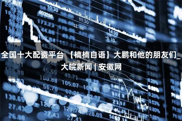 全国十大配资平台 【楠楠自语】大鹏和他的朋友们_大皖新闻 | 安徽网