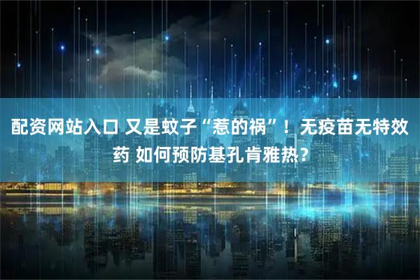 配资网站入口 又是蚊子“惹的祸”！无疫苗无特效药 如何预防基孔肯雅热？